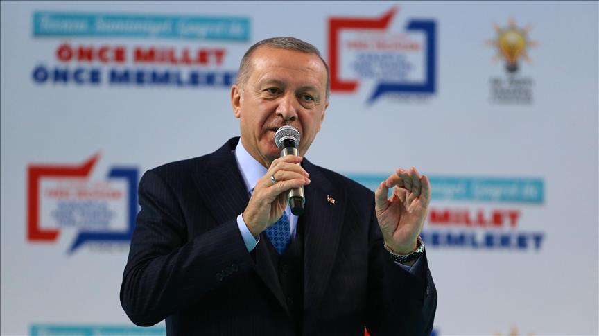 Turkey-Qatar cooperation to deepen: President Erdogan 