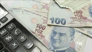 Turkey: Treasury borrows nearly $270M through auction