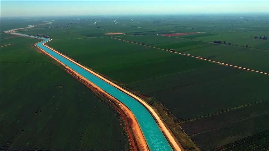 ExxonMobil, REG focus on cellulosic biofuel potential