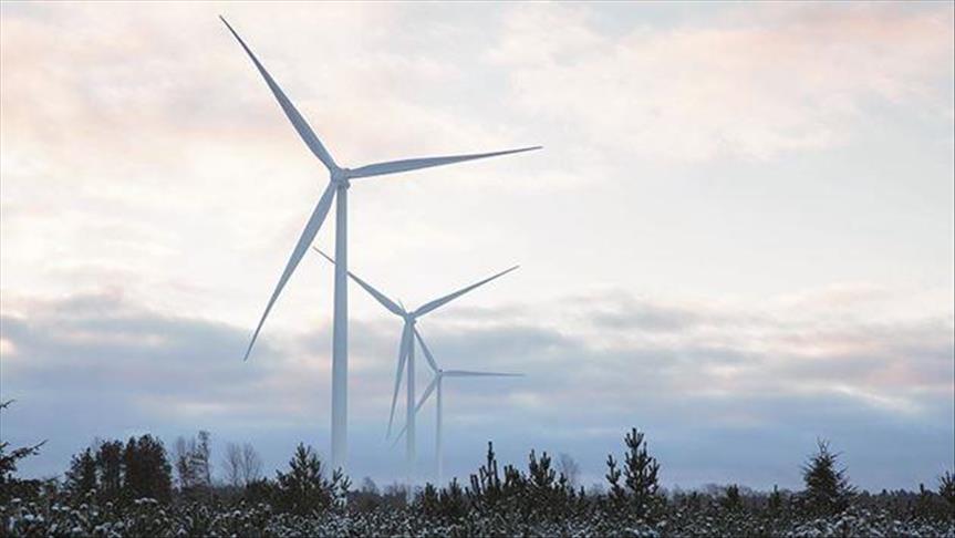 Vestas secures 99 MW wind farm order in Russia 
