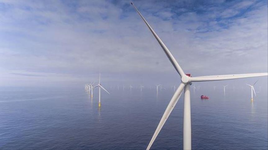 Total, Orsted, Elicio to bid for offshore wind farm