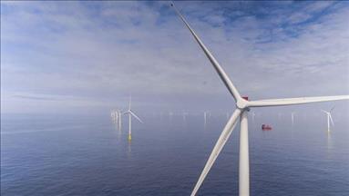 Total, Orsted, Elicio to bid for offshore wind farm