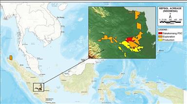Repsol announces huge gas discovery in Indonesia