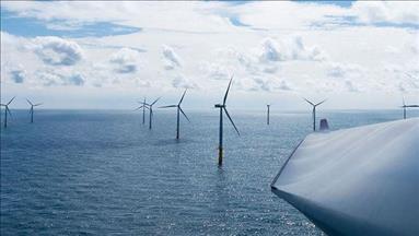 Eneco, Shell, Van Oord bid for Dutch offshore wind farms 