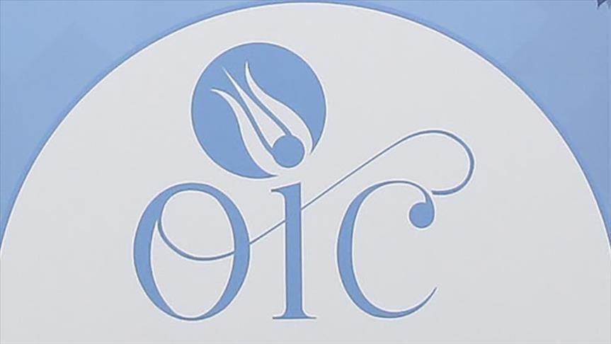 OIC supports political solution to Syrian crisis