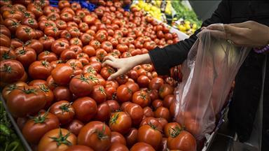 Turkey's annual inflation rate at 19.71 pct in March