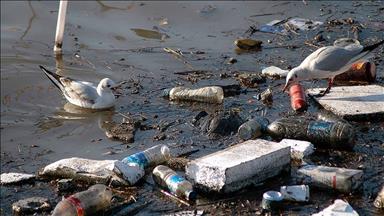 EU council bans single-use plastics for cleaner beaches