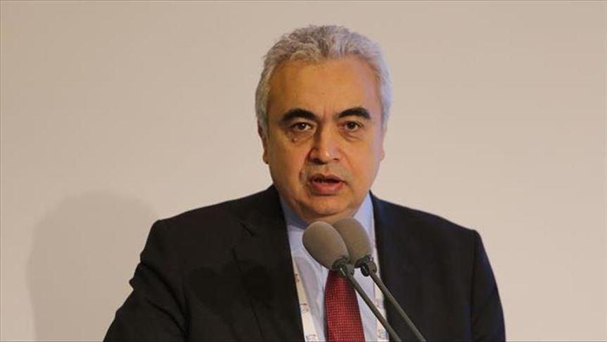 600 million Africans go without electricity: IEA chief