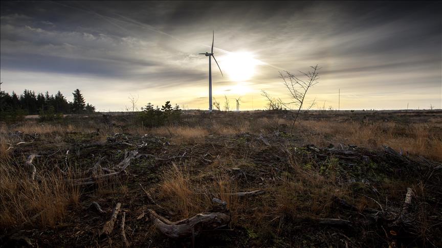 Vestas receives its largest wind order in Brazil