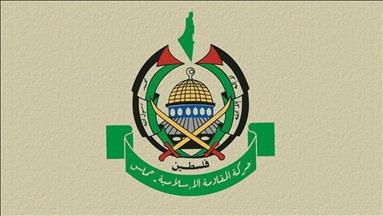 New power line part of Gaza understandings: Hamas 