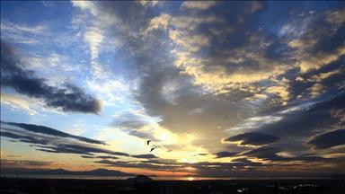 Wales turns wood to energy via £160M power station