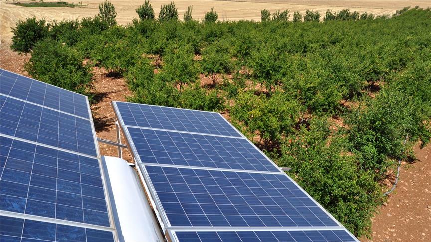 Solar farm in Spain receives €285 million investment