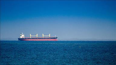 Qatar urges restraint over tension in Strait of Hormuz