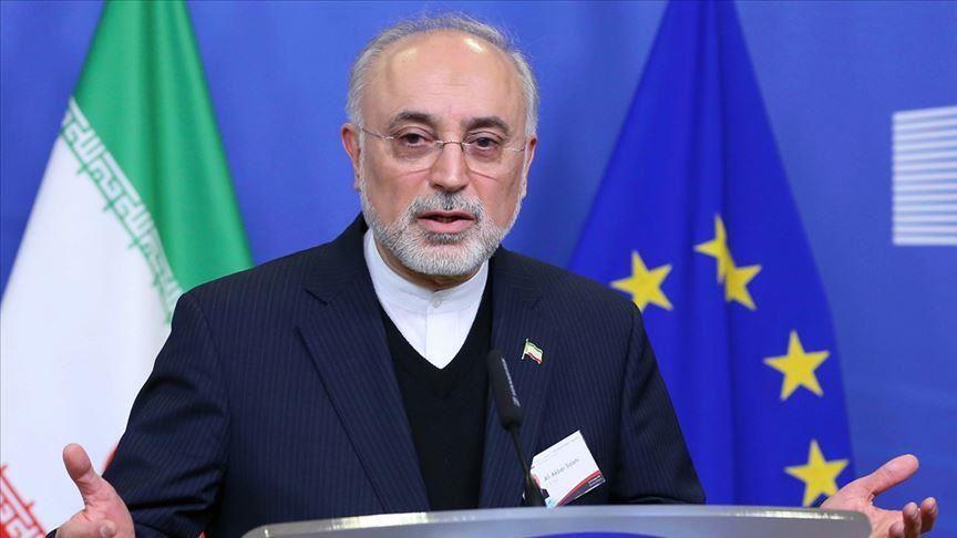 Iran says to restart activities at Arak nuclear reactor