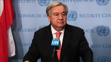 UN chief urges common ground on Syria safe zone