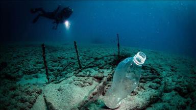 Climate change affecting food security: UN