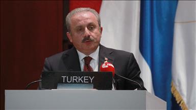 'NATO allies should back Turkey's anti-terror push'