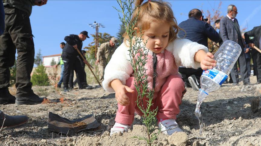 Over 13M saplings planted in Turkey’s eco-friendly move