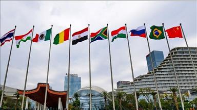 BRICS to discuss Bolivia, Venezuela, economic climate
