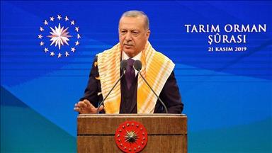 'Turkey aims 22.9M hectares of forestland by 2020-end'