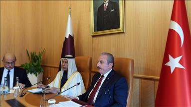 Turkish, Qatari parliaments sign cooperation protocol 
