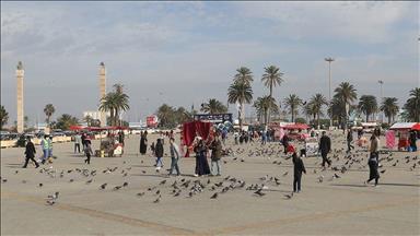 Egypt, Algeria announce support for cease-fire in Libya