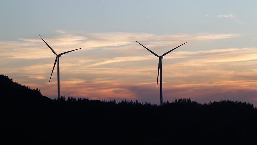 EU's renewable share up by 0.05% year-on-year in 2018