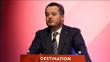 Turkey's share in global FDI may double: Official