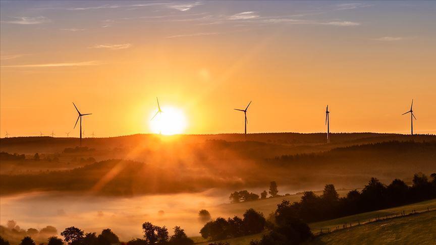 Wind and solar surpass coal in EU electricity in 2019