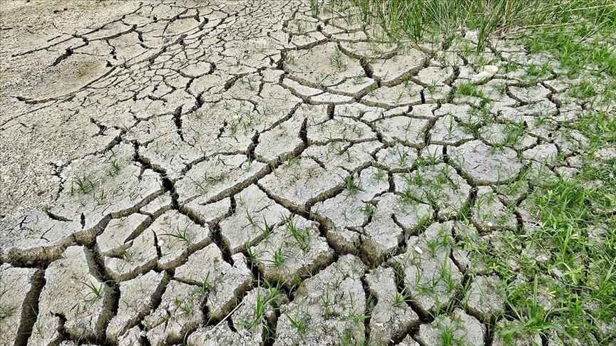 EU invests over €100 million in climate neutrality