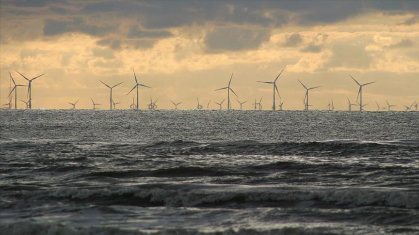 RWE, Saitec to test offshore wind farms in deep waters