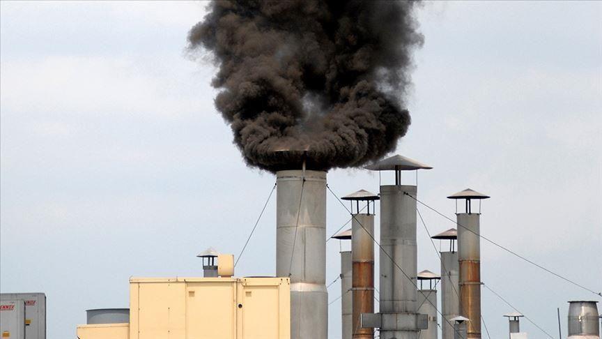 Developing states to lose up to 85% oil, gas pay in '20