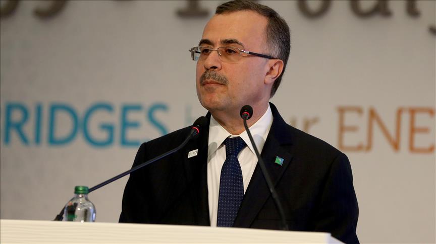 S. Aramco makes preventive plans to sustain supply: CEO