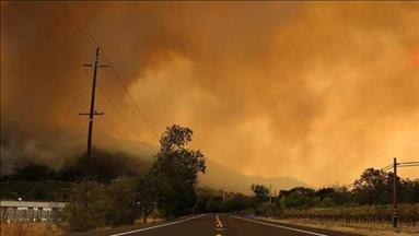 Wildfire almost reaches Chernobyl nuclear plant