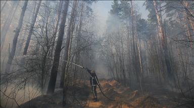 Ukraine: Wildfire stopped before spreading to Chernobyl