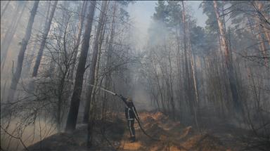 Ukraine: Wildfire stopped before spreading to Chernobyl