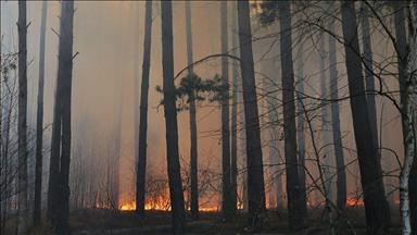 Wildfire no risk to Chernobyl nuclear plant: Zelensky