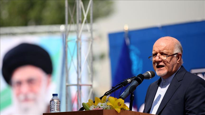 OPEC alone cannot address oil crisis: Iranian oil min.