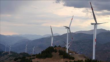 Stimulus packages need to go green for better recovery