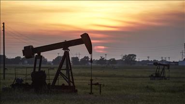 Oil producers in MENA to lose $270 billion in 2020: IMF