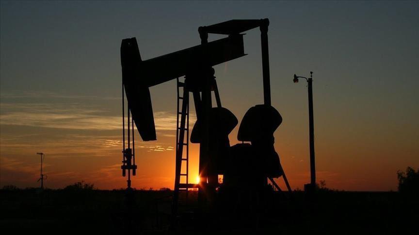 Turkey's oil imports down 22.7% in May 2020