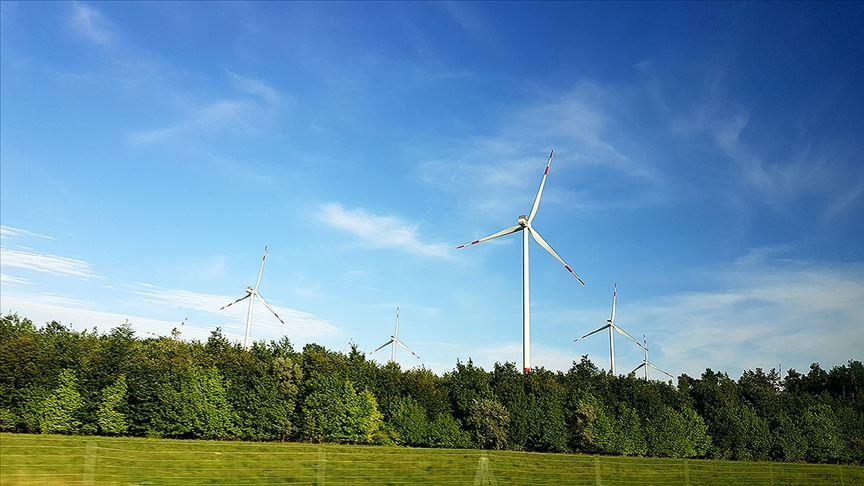 Wind, solar generate one-tenth of global electricity
