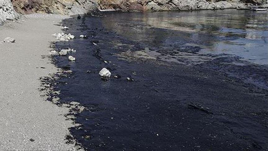 Mauritius pushes for compensation over oil spill damage