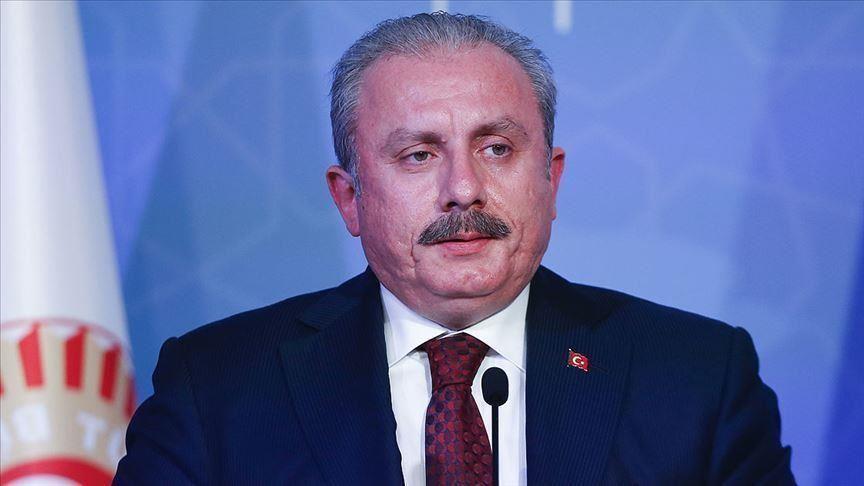 Turkish parliament's head condemns UAE-Israel deal