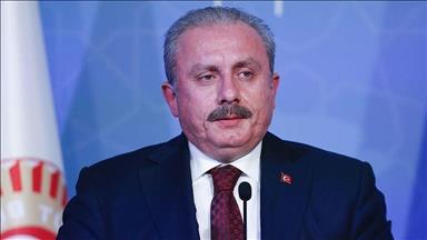 Turkish parliament's head condemns UAE-Israel deal
