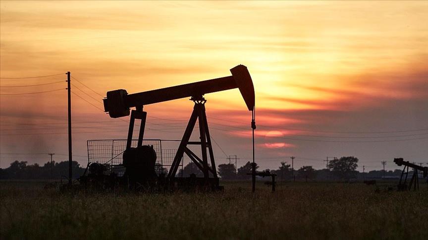 Iranian firms to hold 70% share in oil production plans  