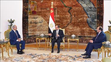 Al-Sisi used as pawn against Turkey in East Med: Expert