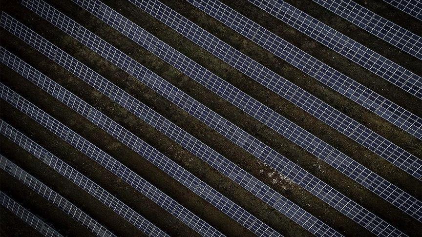 Solar set to be 'new king' of world electricity markets