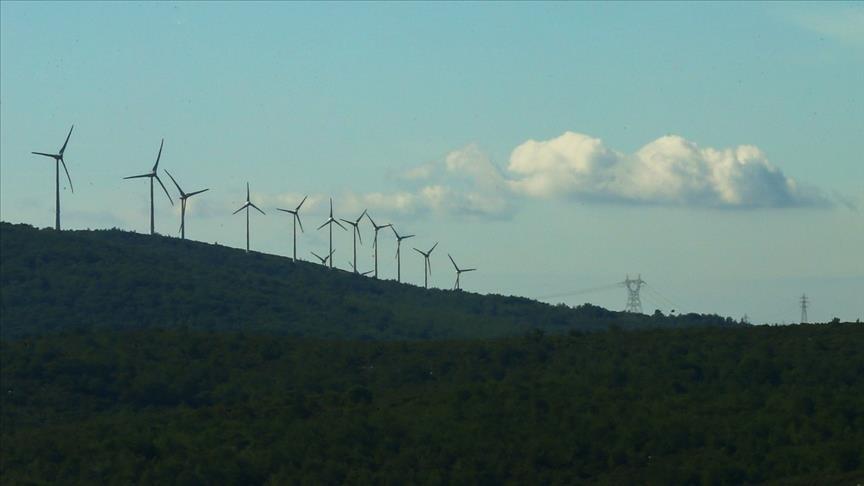Wind, water produce most of EU renewable power in 2019
