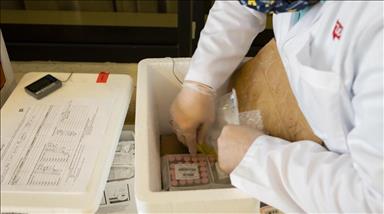 FDA okays storing Pfizer vaccines in standard freezers